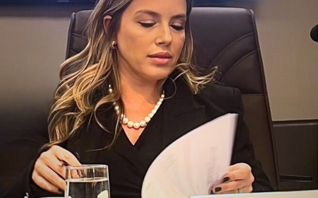 Posse no Conselho do Fundo Estadual de Defesa do Consumidor de MG